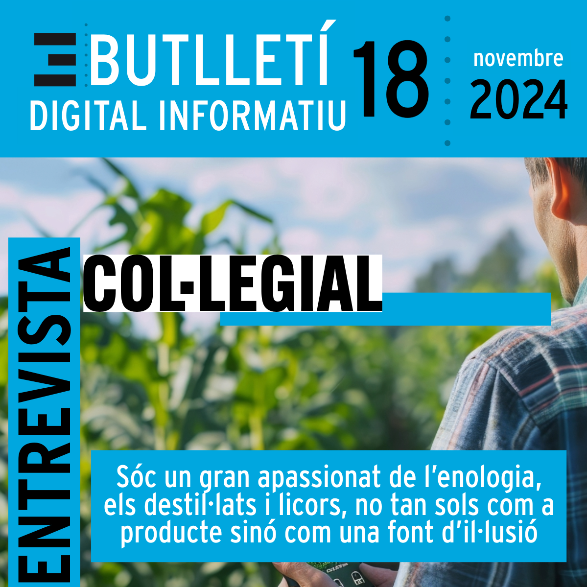 Butlletí Digital Informatiu Enginyers Tarragona | núm 18, novembre 2024 |