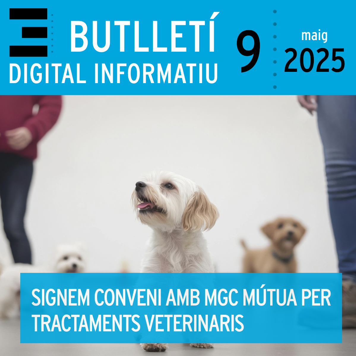 Butlletí Digital Informatiu Enginyers Tarragona | núm 9, maig 2025 |