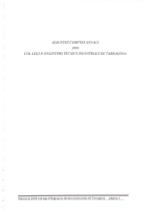 Comptes anuals 2009.pdf